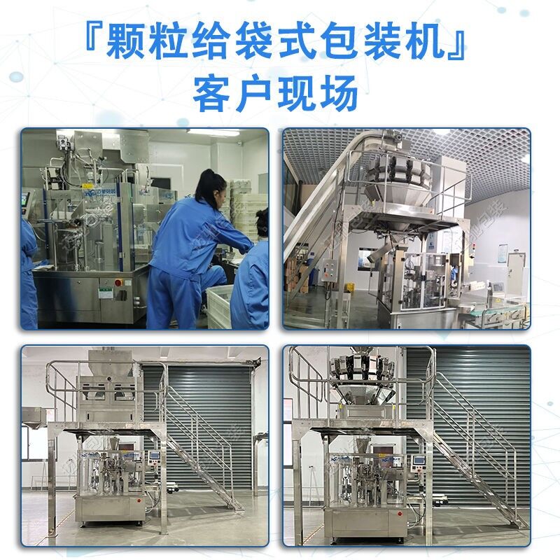 給袋式顆粒包裝機